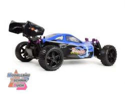22031#Buggy 
