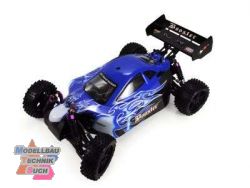 22031#Buggy 