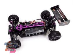 22031#Buggy 