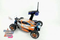 22033#Buggy 