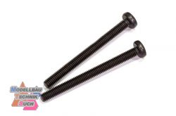 6184/06#Linsenkopfschraube M4x45, 2 St.