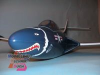 1354/00#F9F Panther