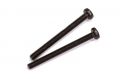 6184/06#Linsenkopfschraube M4x45, 2 St.